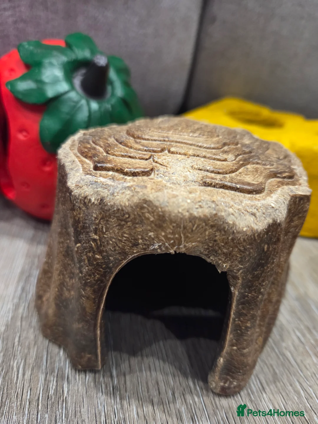 Hamster rodents for sale: Female syrian hamster and all supplies in Shoreham-by-Sea - Advert 18