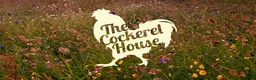 Chickens poultry for sale: Hatching eggs, Chicks & Ducklings - Advert 27