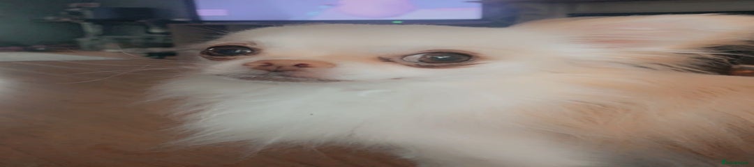 Milky