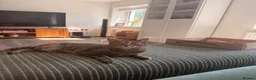 Domestic Shorthair cats for sale: 2 Gorgeous Girls for Re-homing - Advert 2