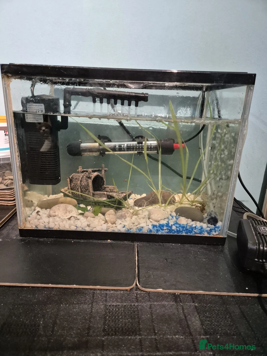 Other/Mixed Breed fish for sale: Fluvel fish tank complete set up  - Advert 4