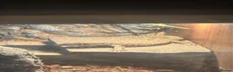 Monitor reptiles for sale: Bosc monitors  - Advert 2