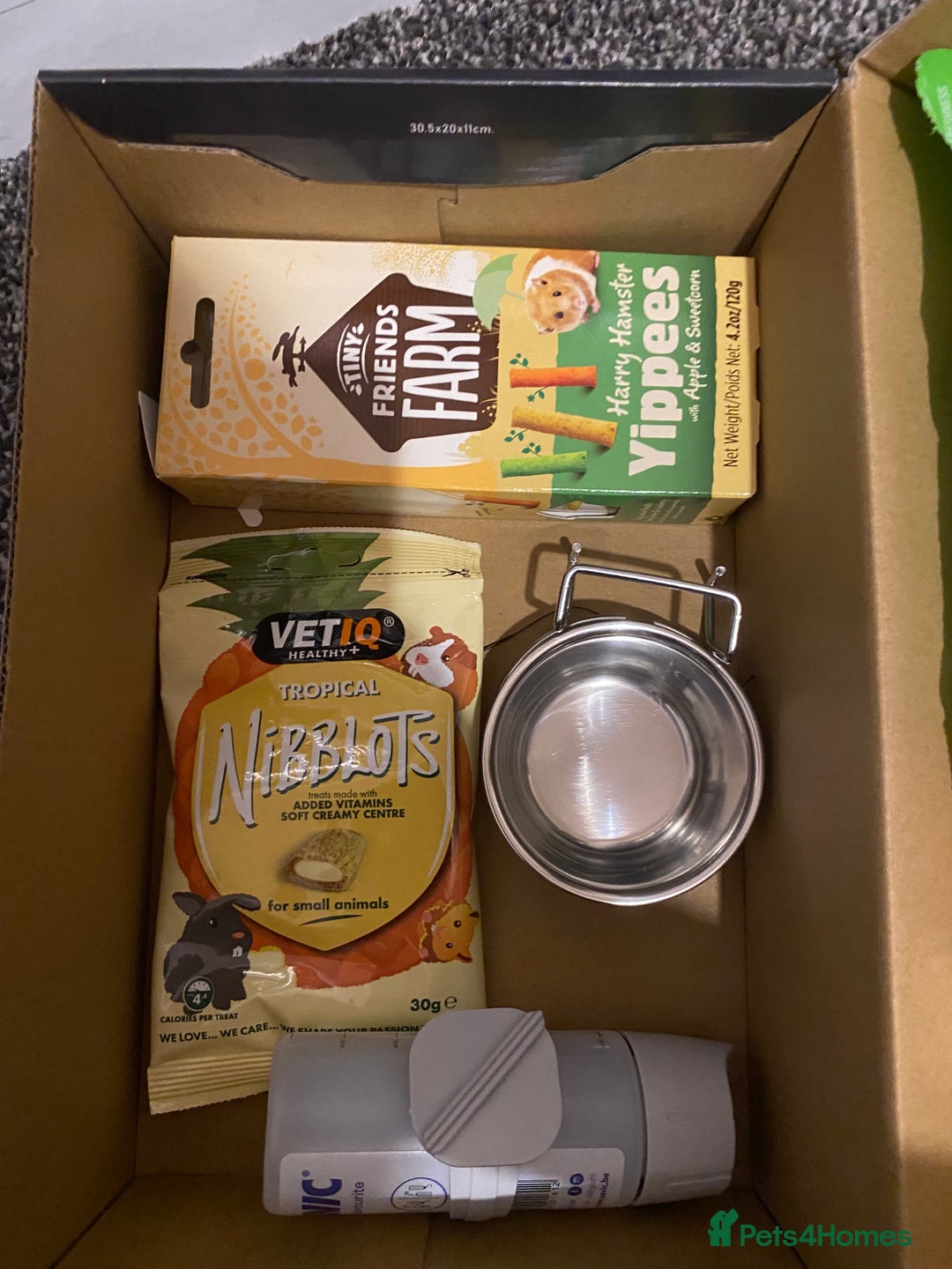 Hamster rodents for sale: 2 male gerbils - Image 10