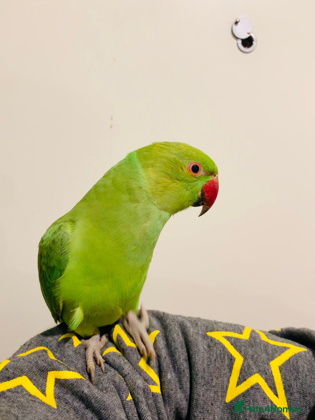 Gallery Image {{count}}