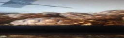 Tortoise reptiles for sale: Sulcata tortoise babies in Norwich - Advert 6