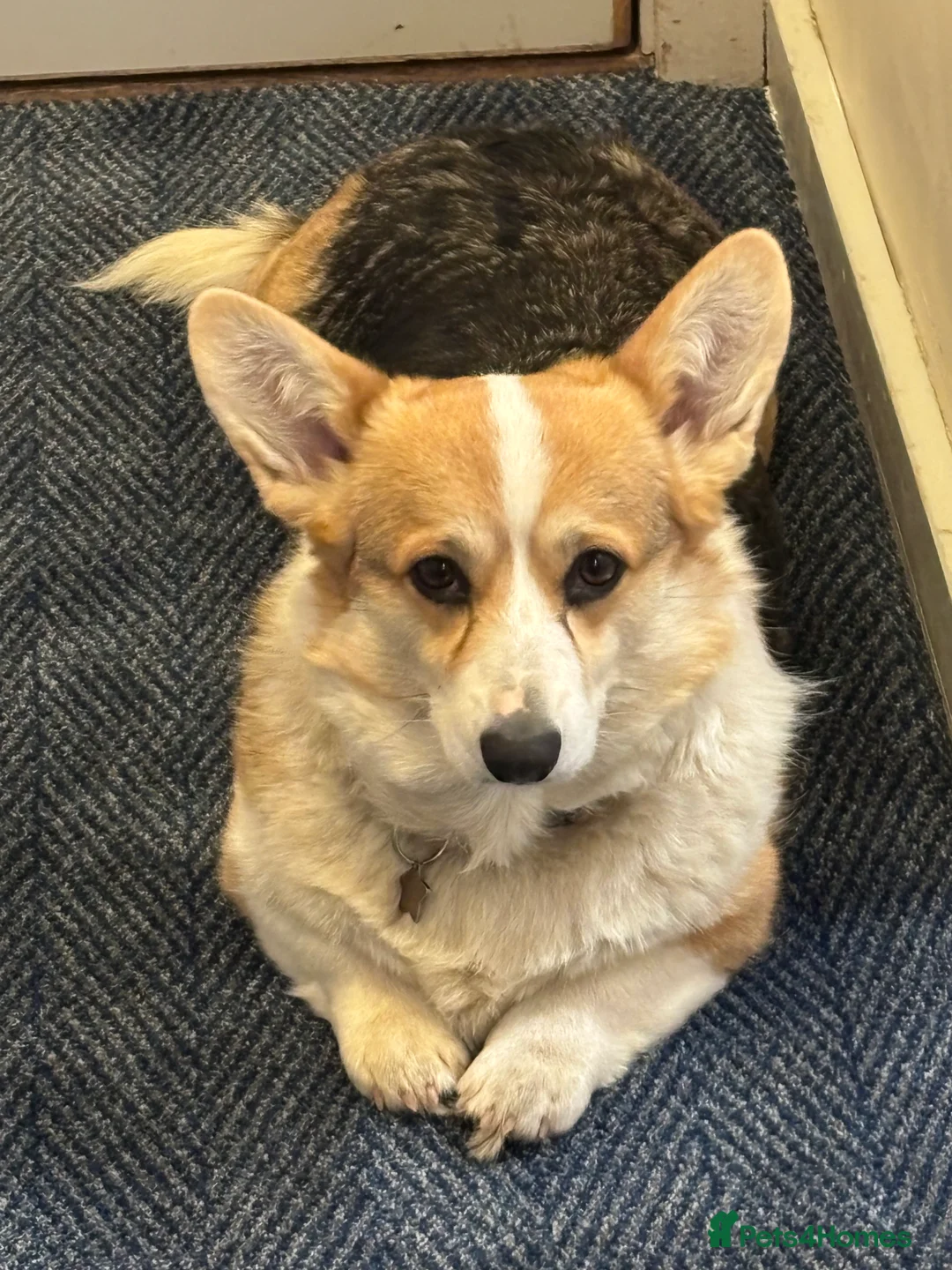 Gallery Image {{count}}