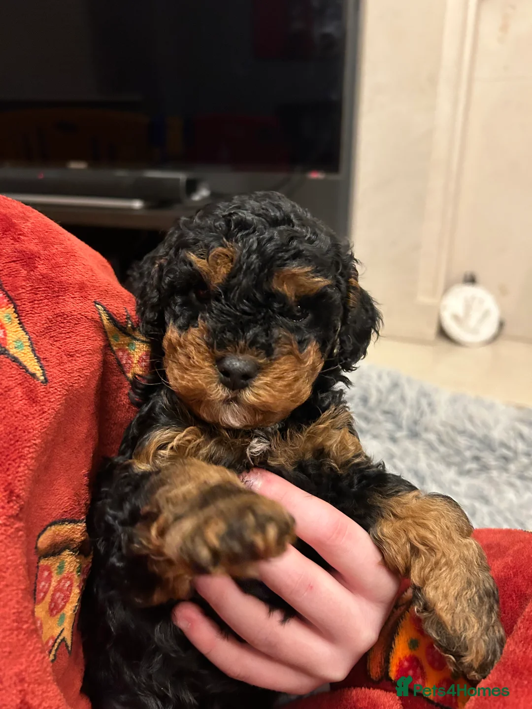 Gallery Image {{count}}