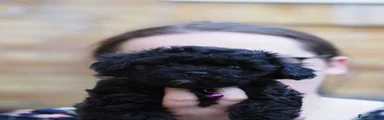 Tia