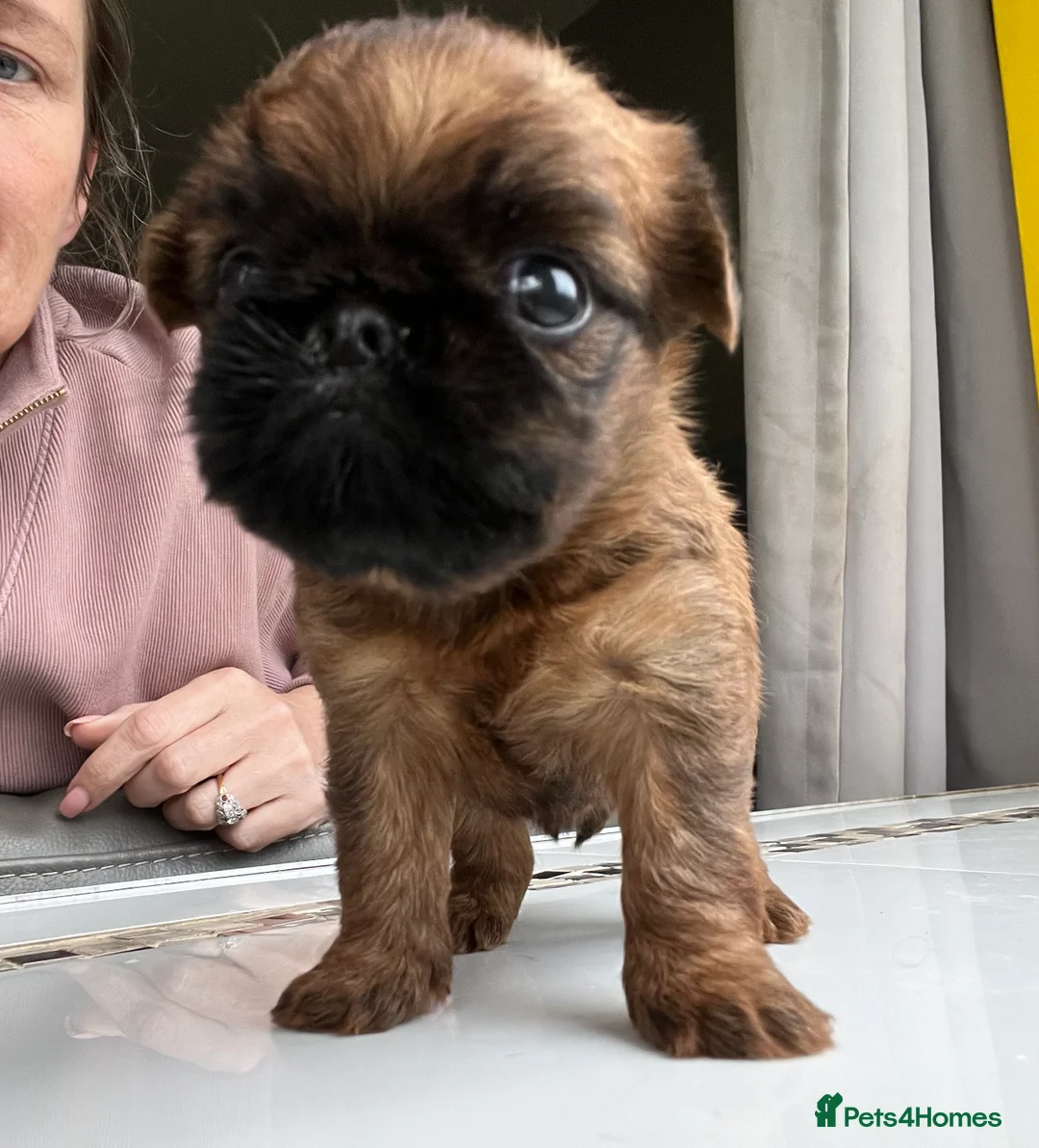 Gallery Image {{count}}