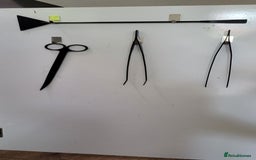 Tetras fish for sale: Fish Tank (200L) - Image 15
