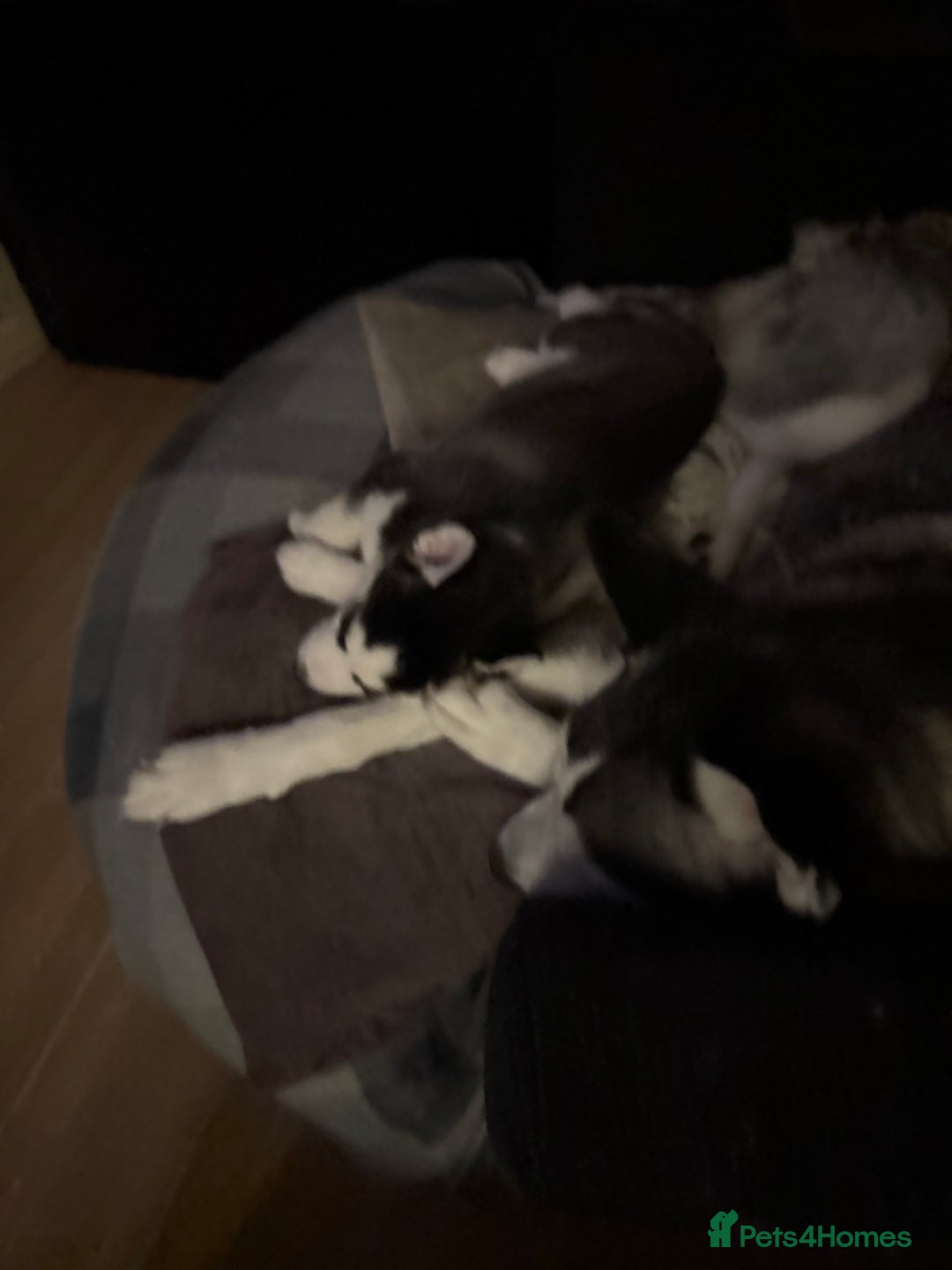 Gallery Image {{count}}