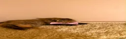 British Longhair cats for sale: Enchanting Chocolate British longhair female✨ - Advert 5