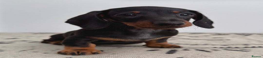 Boy 3