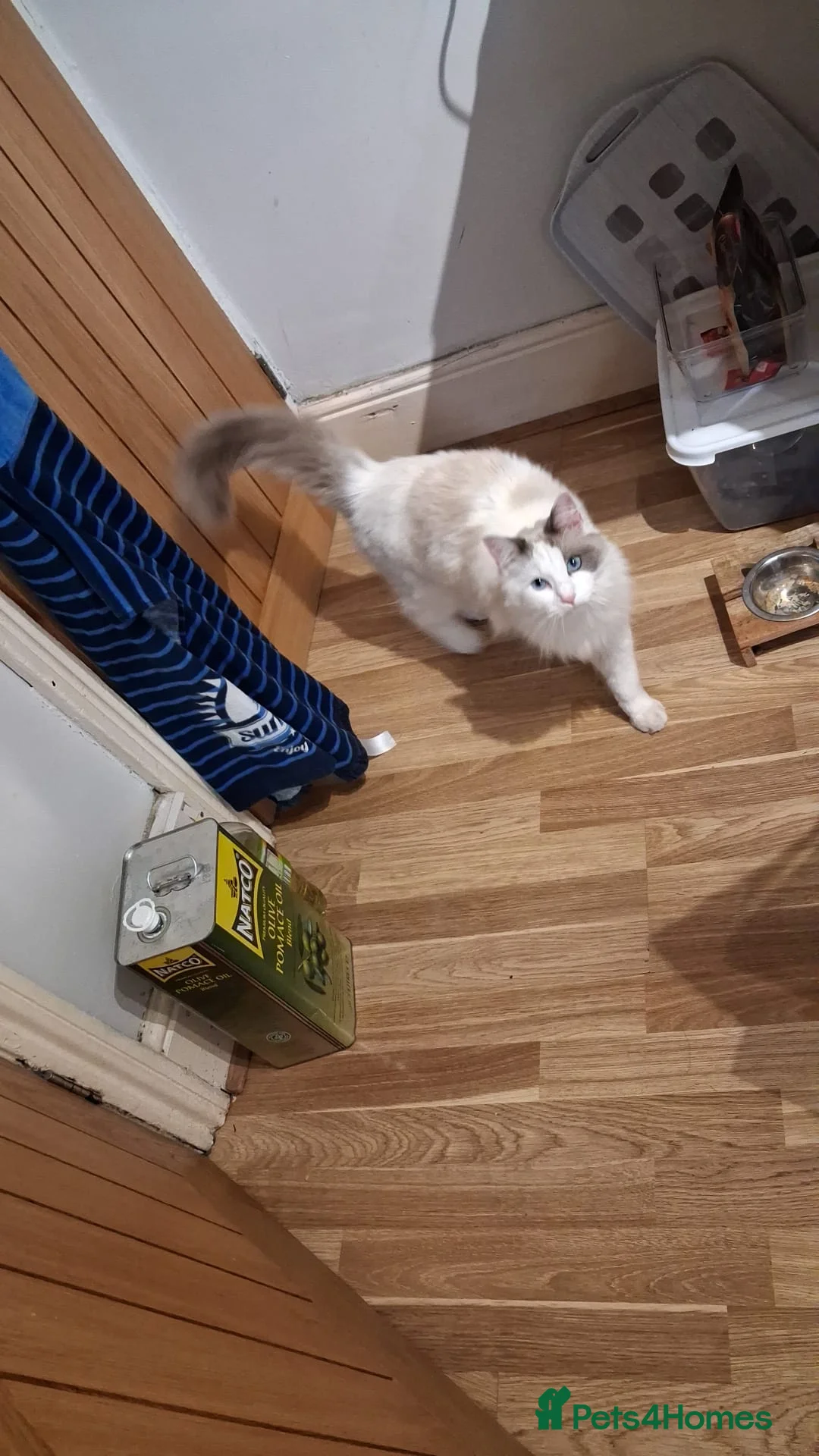 Gallery Image {{count}}