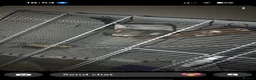 Rat rodents for sale: Male rats  in Bradford - Advert 7