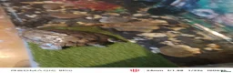 Turtle reptiles for sale: Turtles and large aquarium  - Advert 3
