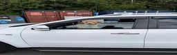 Cockapoo dogs for sale: Rupert in Alfreton - Advert 4