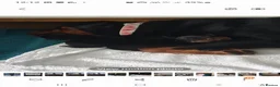 Rottweiler dogs for sale: Outstanding full German champion pedigree puppies  in Solihull - Advert 1