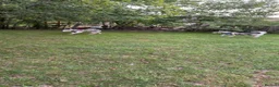 Siberian Husky dogs for sale: 2 Siberian huskies in Huntingdon - Advert 1