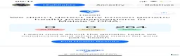 Mixed Breed dogs for sale: LAST ONE Beautiful mixed breed. DNA profile added - Advert 5
