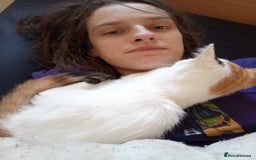 Mixed Breed cats for sale: Friendly kitten for sale to go to a loving home. - Image 9