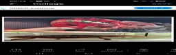 Chameleon reptiles for sale: Juvenile panthers for sale.  - Advert 2