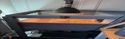 Tortoise reptiles for sale: Tortoise with set up and food - Advert 6