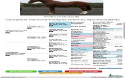 Connemara horses for sale: Whinny  - Advert 2