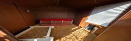 Mixed Breed birds for sale: 4 chickens and whole set up - Advert 6