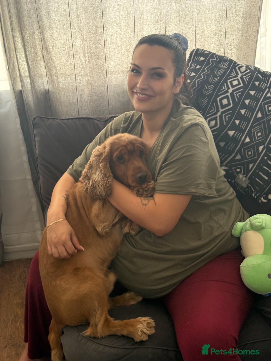 Cocker Spaniel dogs for sale: (Almost) 2 Year Old Cocker Spaniel Boy 🩵 - Advert 6