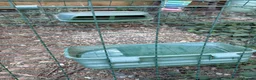 Chickens poultry for sale: Omlet eglu go up and two chickens - Advert 4