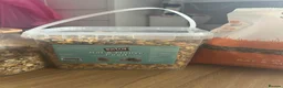Rat rodents for sale: 2 male rats with cage and accessories  in Harleston - Advert 3