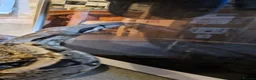 Boa Snake reptiles for sale: Boa constrictor  - Advert 3