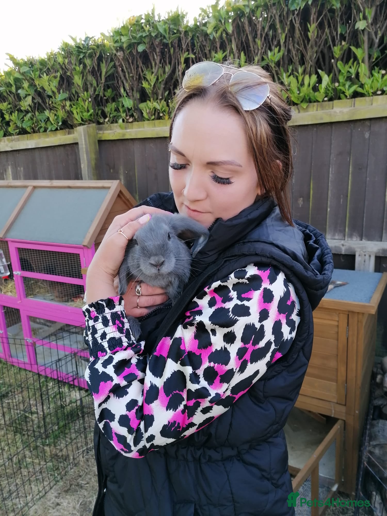 Mini Lop rabbits Nelly mini lop  - Advert 10