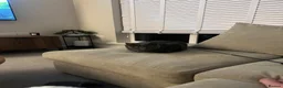Russian Blue cats for sale: Pebbles in Leeds - Advert 3