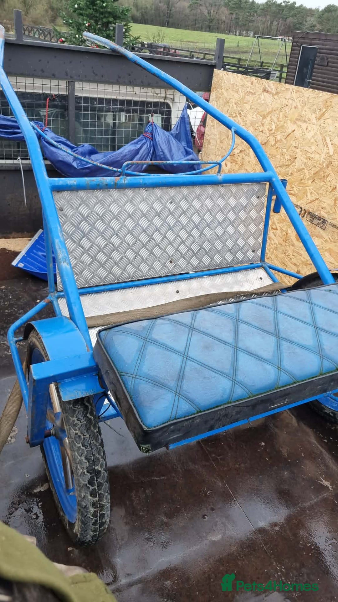 Trotter horses for sale: Rockets magic  - Advert 5