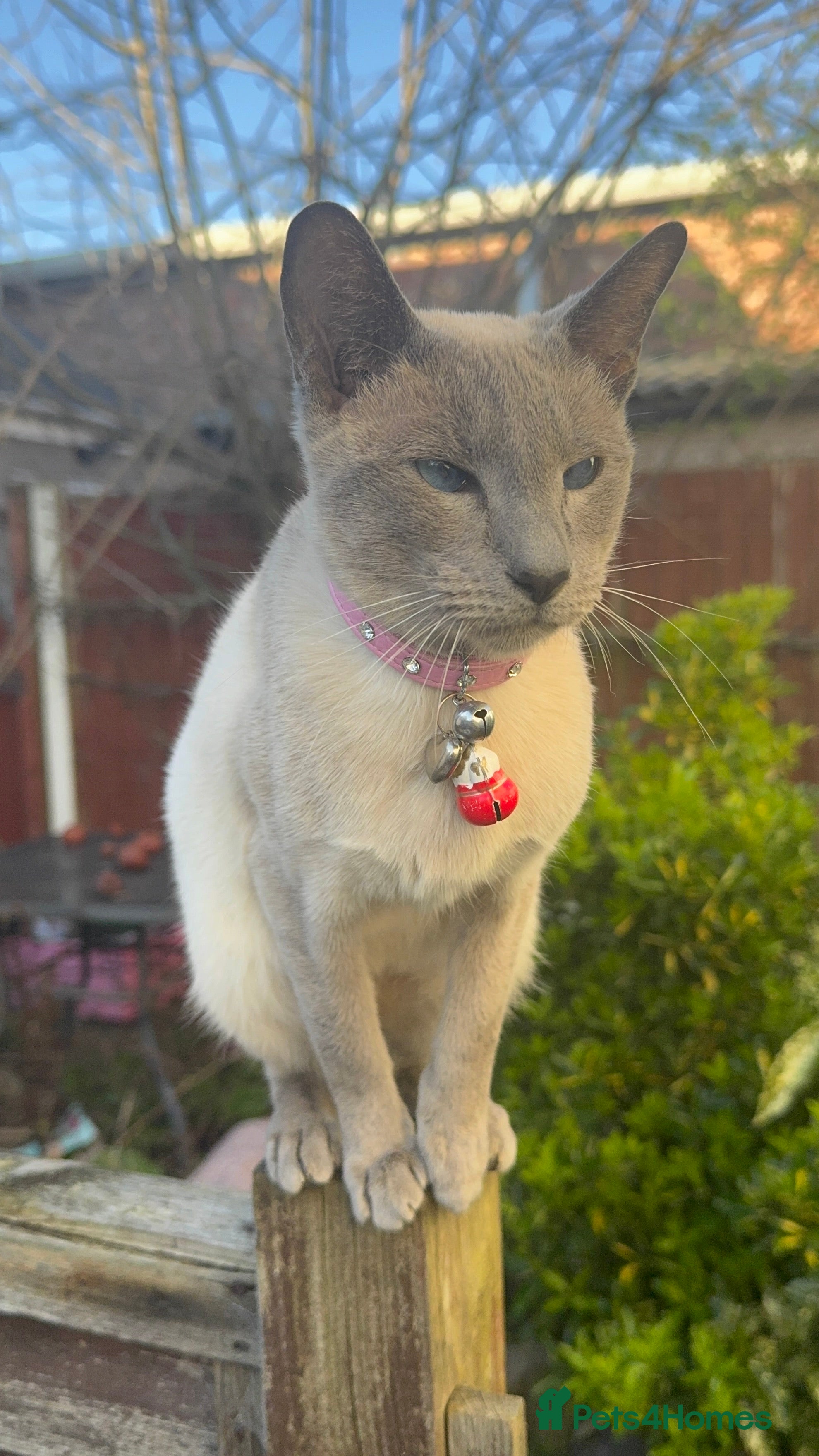 Sabrina ✨