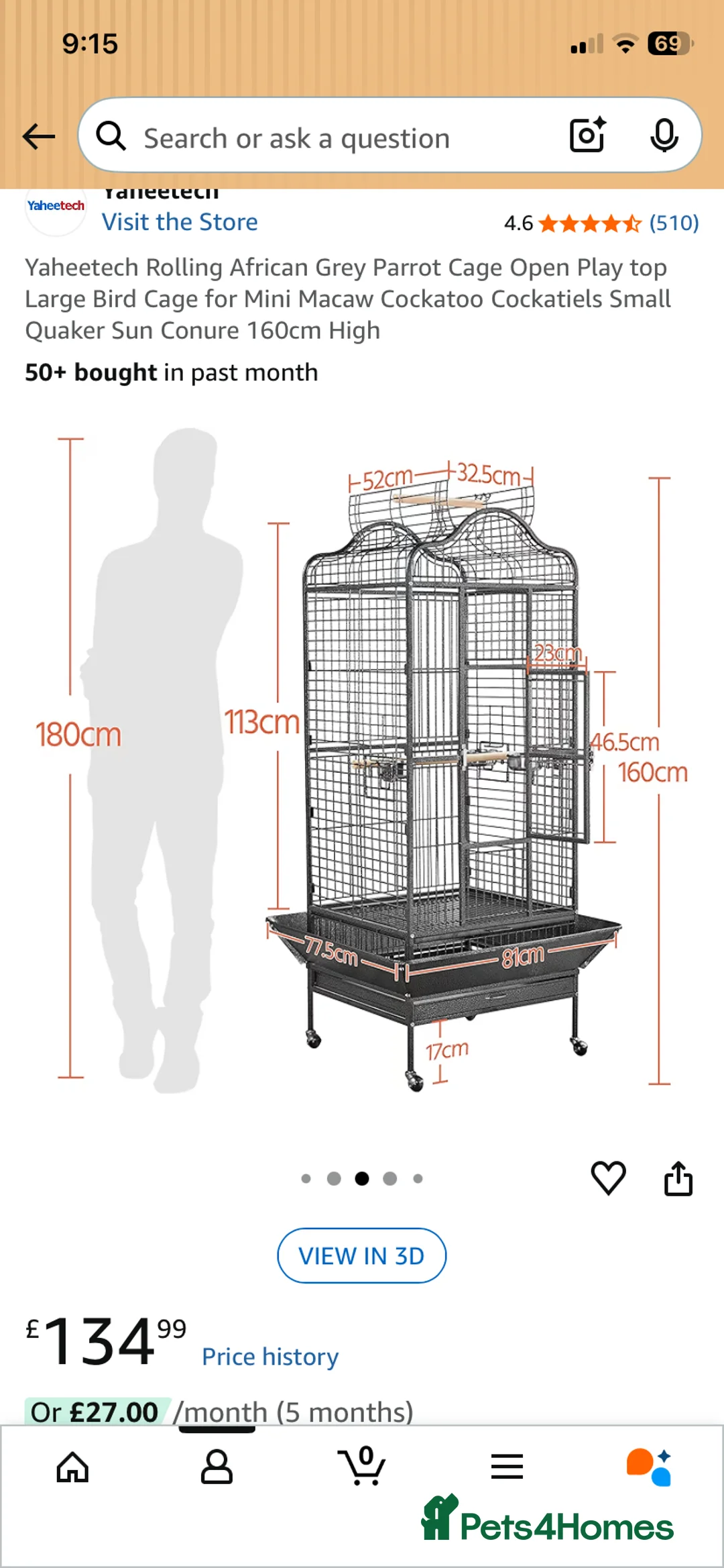 Conures birds for sale: Two semi-tame green cheek conures  - Advert 7