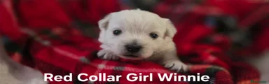 Winnie - Red Girl