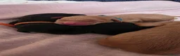 Labrador Retriever dogs for sale: Labrador puppies seeking loving homes. - Advert 9