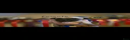 Whippet dogs for sale: Kc reg whippet litter - Advert 7