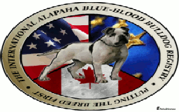 Alapaha Blue Blood Bulldog dogs for sale: ALAPAHA BLUE BLOOD BULLDOGS  - Image 8