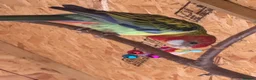 Parakeets birds for sale: Eastern Rosella in Wigan - Advert 14