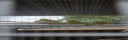 Budgerigars birds for sale: 10 budgies to go together - Advert 3