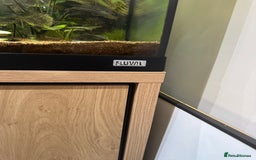 Goldfish fish for sale: Fluval Fish Tank with Cabinet and lots of extras  - Image 2