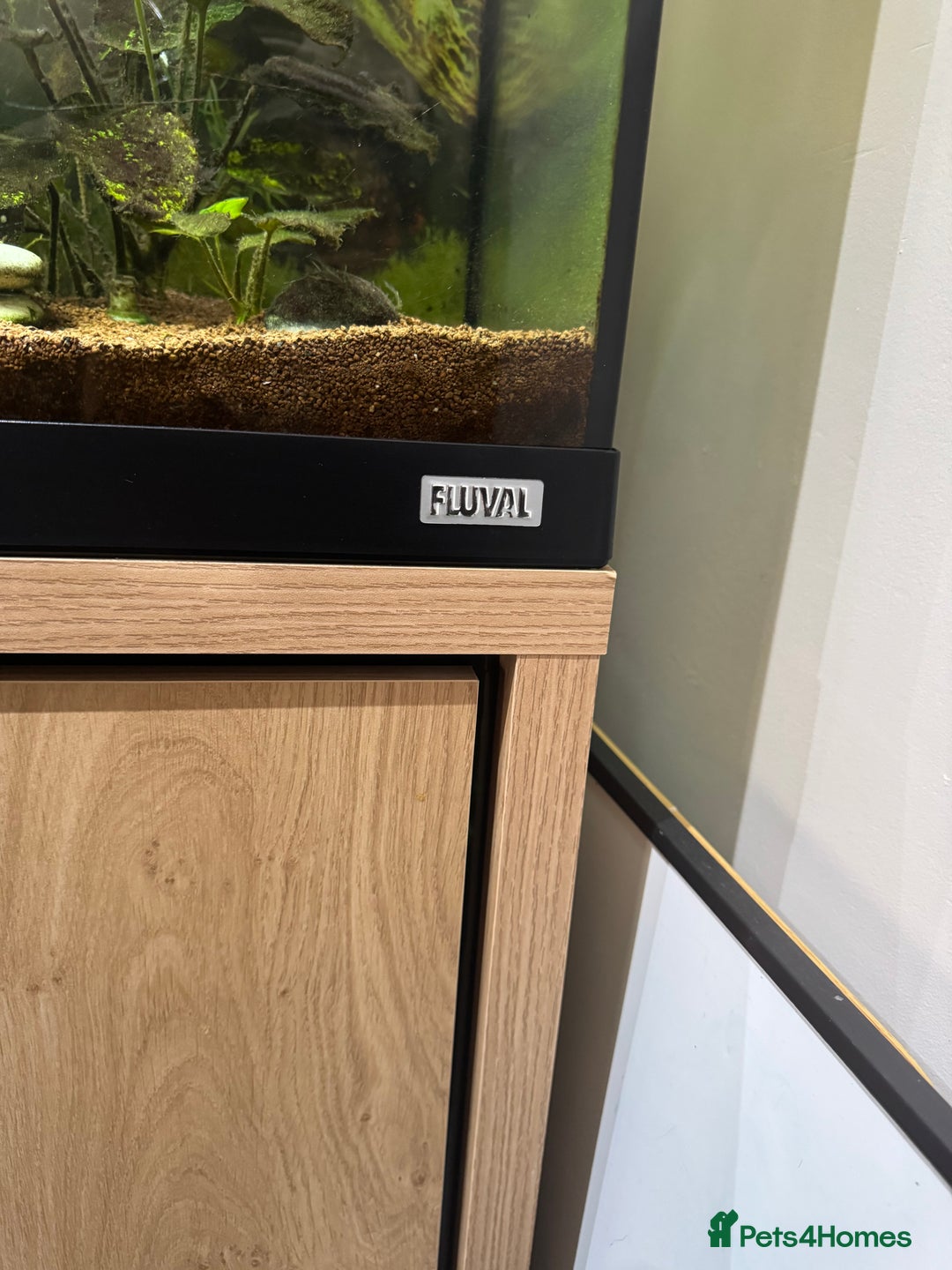 Goldfish fish for sale: Fluval Fish Tank with Cabinet and lots of extras  - Image 2