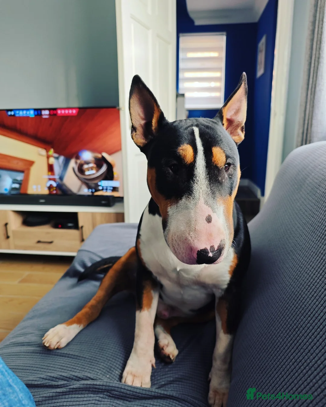 Gallery Image {{count}}