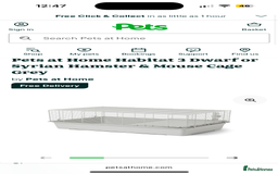 Hamster rodents for sale: 2 Brother Dwarf Hamster  - Advert 5