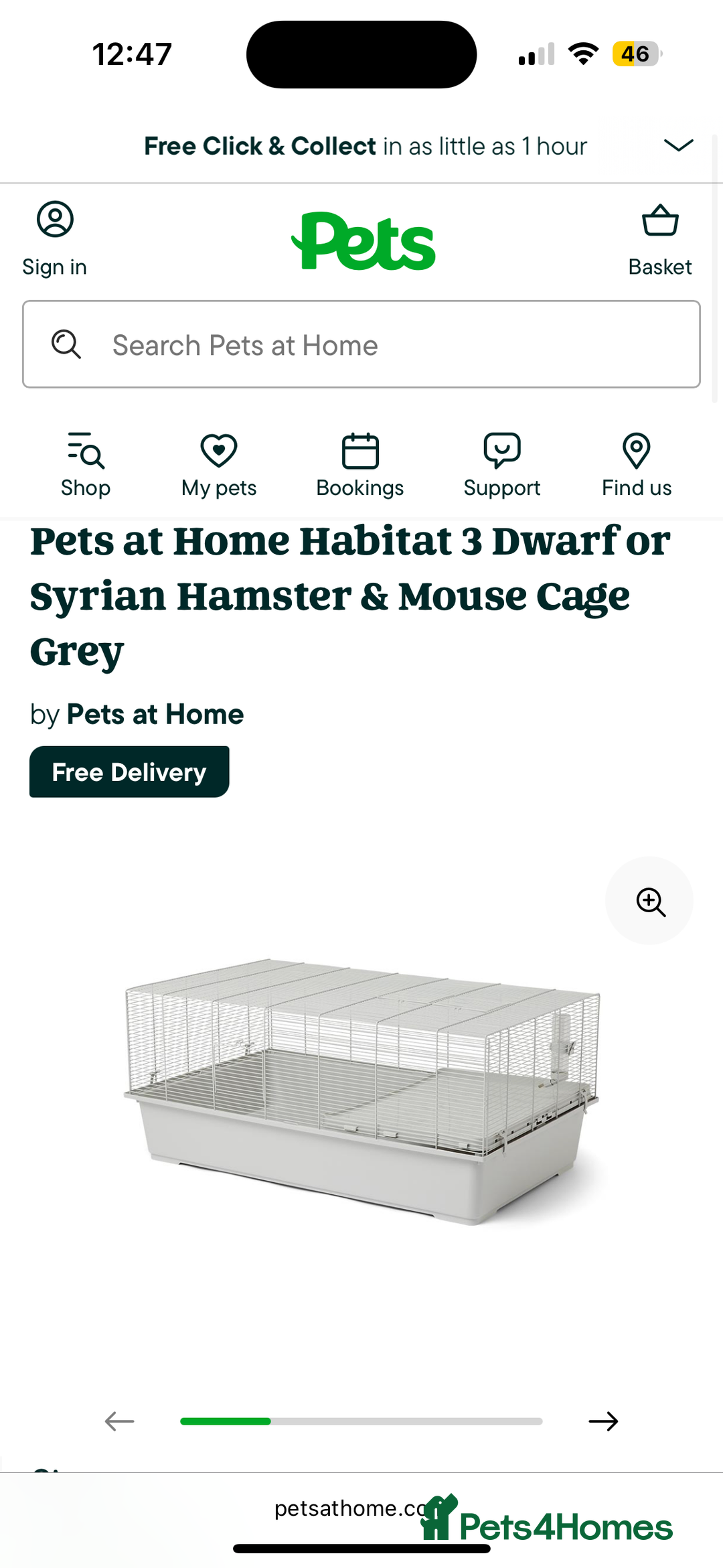 Hamster rodents for sale: 2 Brother Dwarf Hamster  - Advert 5