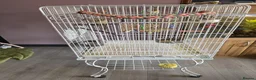 Conures birds for sale: Green-Cheek Conure With Cage and Accessory's - Advert 13